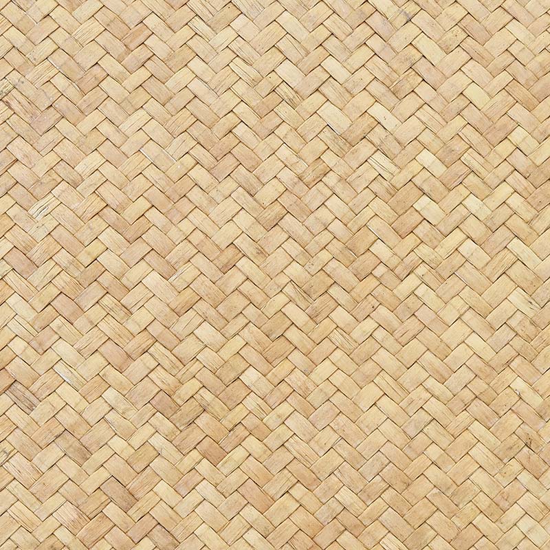 Bambu