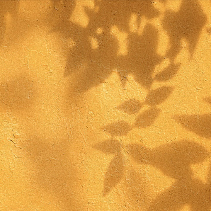 Sombra Arbol Amarilla