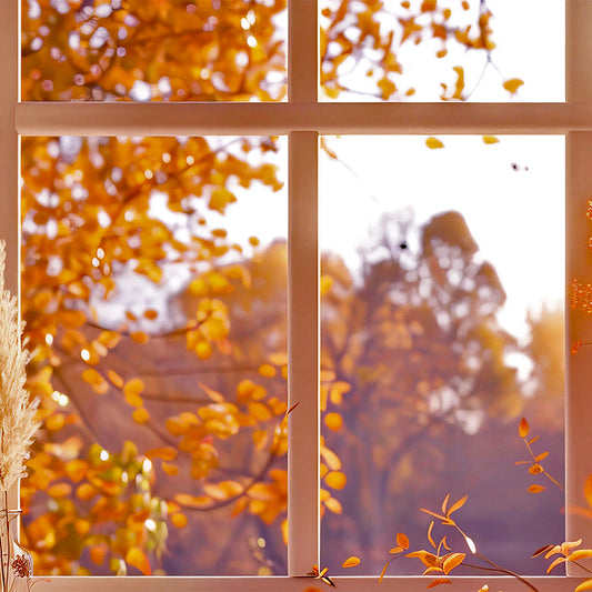Ventana Otoño