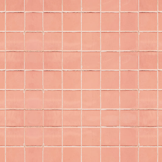 Azulejo Salmon