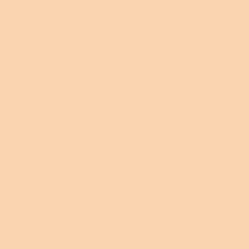 Fondo Naranja Liso