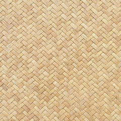 Bambu