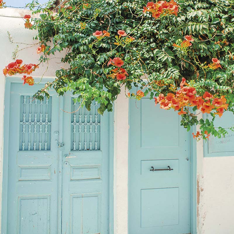 Puerta Floreada