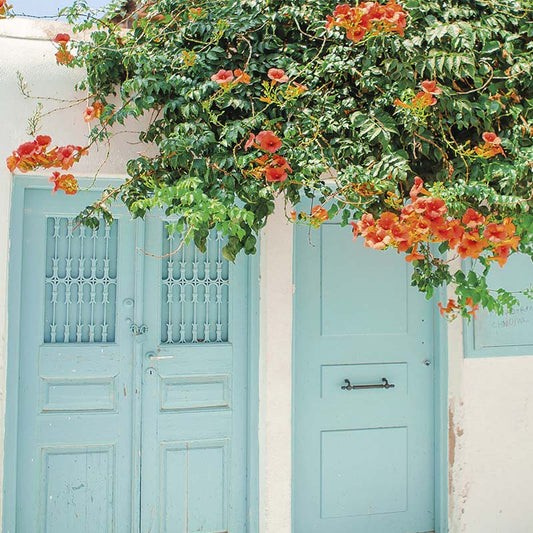 Puerta Floreada