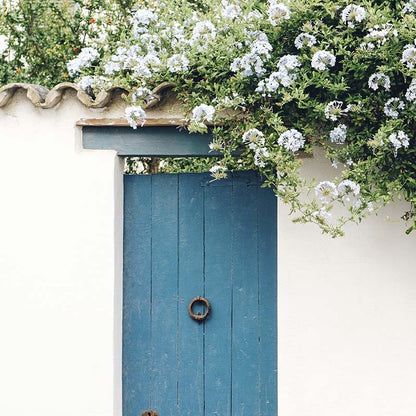 Puerta Mykonos