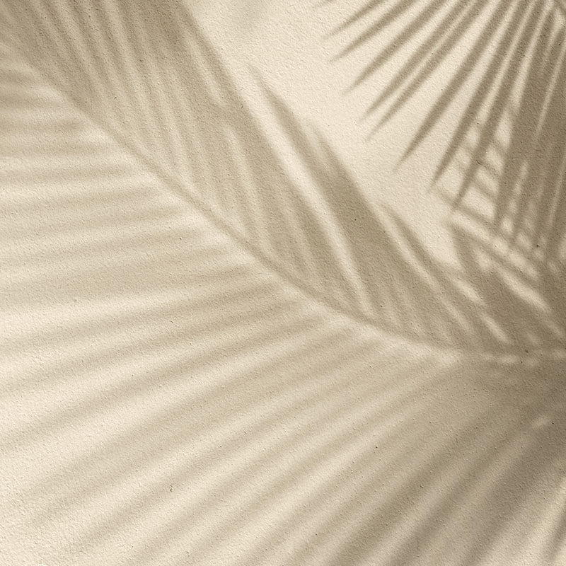 Sombra Palma Crema