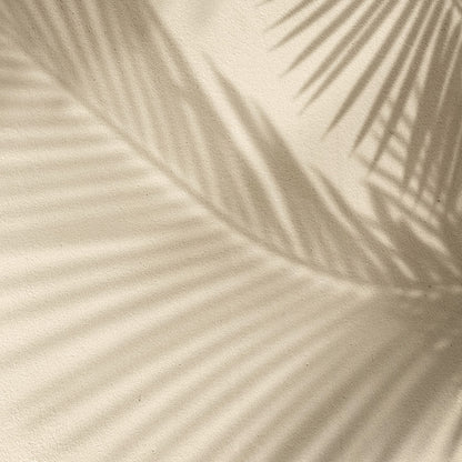 Sombra Palma Crema