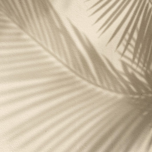 Sombra Palma Crema