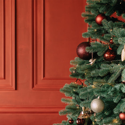 Moldura Roja Navidad