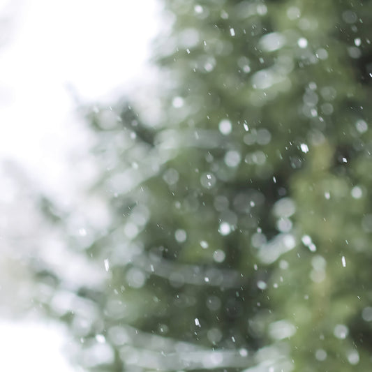 Arbol nevado