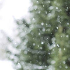 Arbol nevado