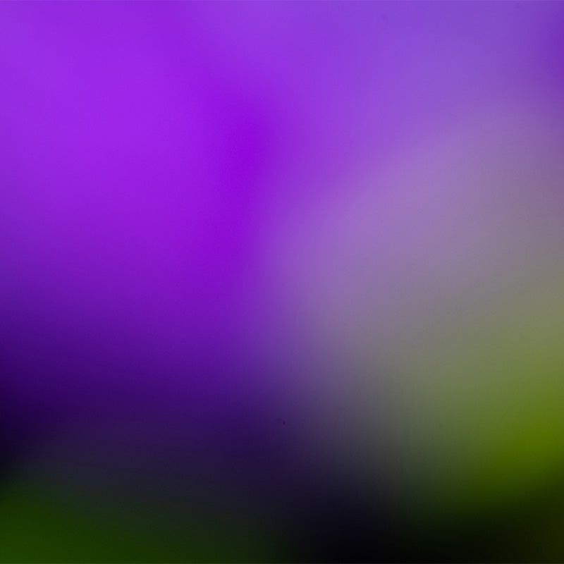 Degradado Morado con Verde