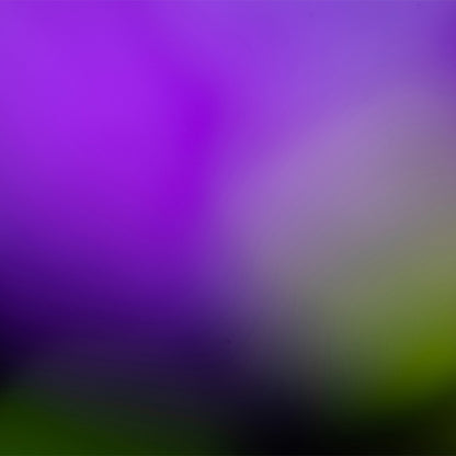 Degradado Morado con Verde