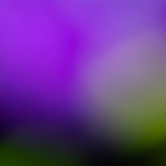 Degradado Morado con Verde