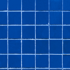 Azulejo azul rey