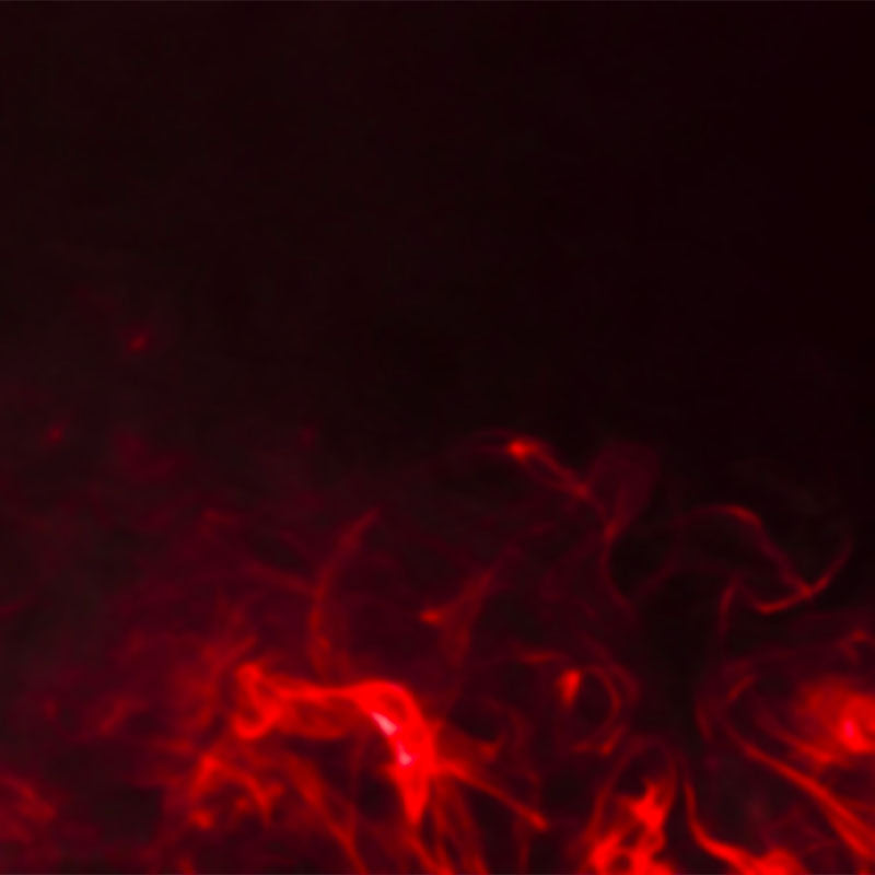 Fuego