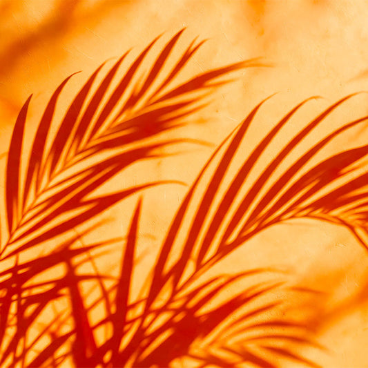 Sombra Naranja