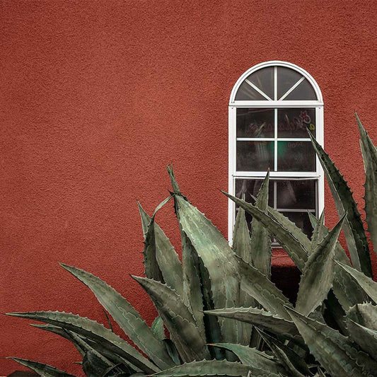 Ventana Mexico