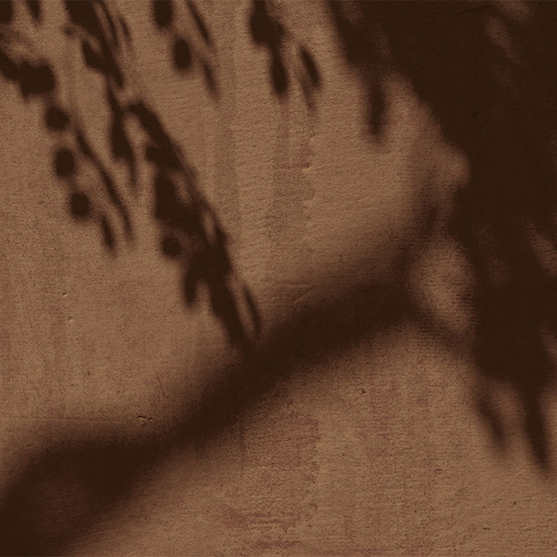 Sombra arbol cafe
