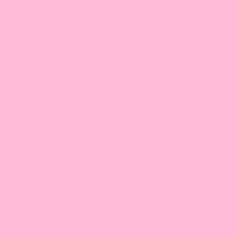 Rosa Liso REMATE