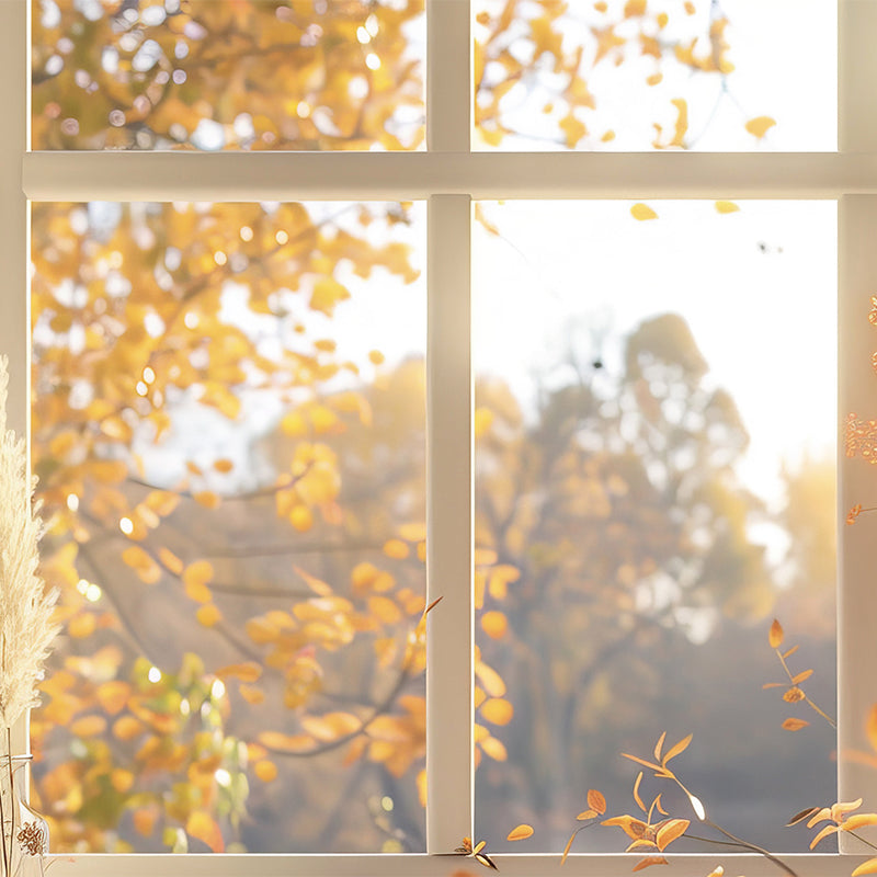 Ventana Otoño