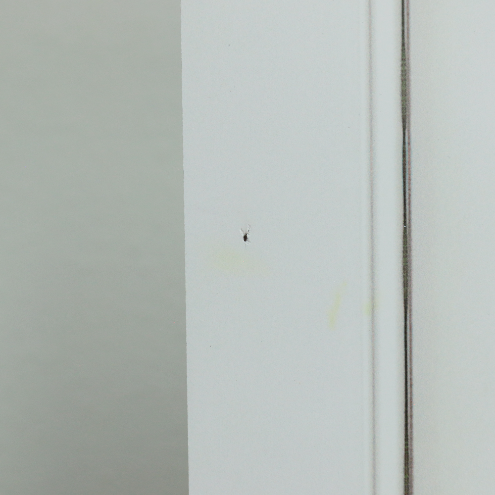 moldura blanca clasica REMATE