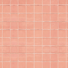 Azulejo Salmon